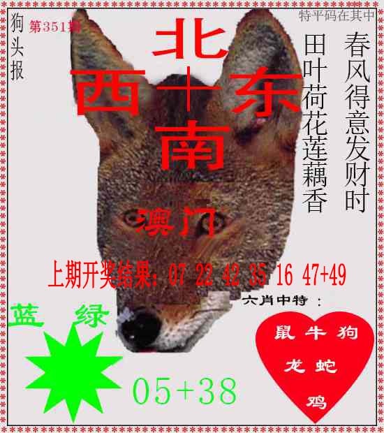 351期狗头报[图]