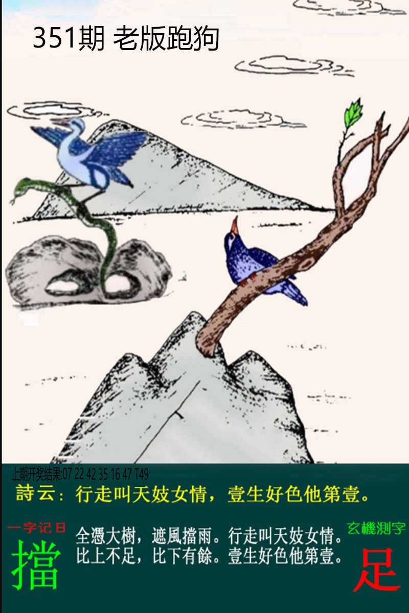 351期老板跑狗[图]