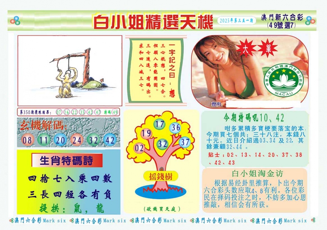 351期白小姐精选玄机A[图]