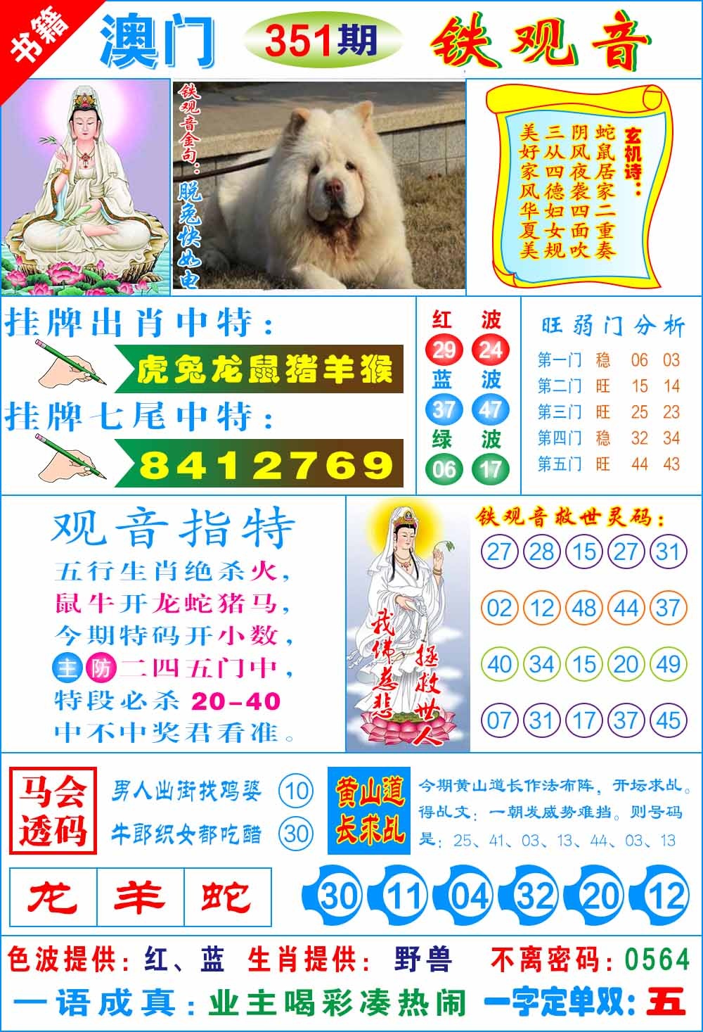 351期澳门铁观音[图]