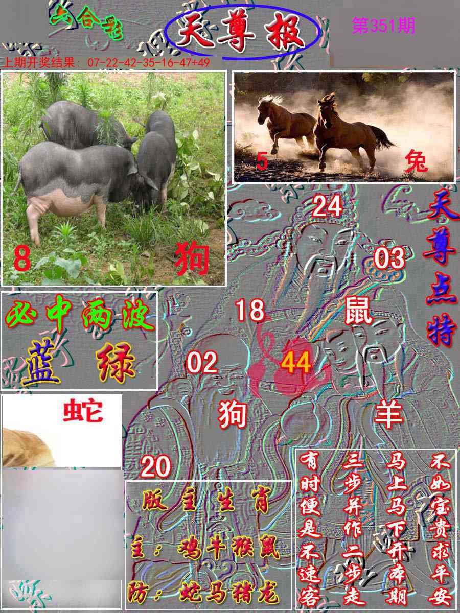 351期天尊报[图]