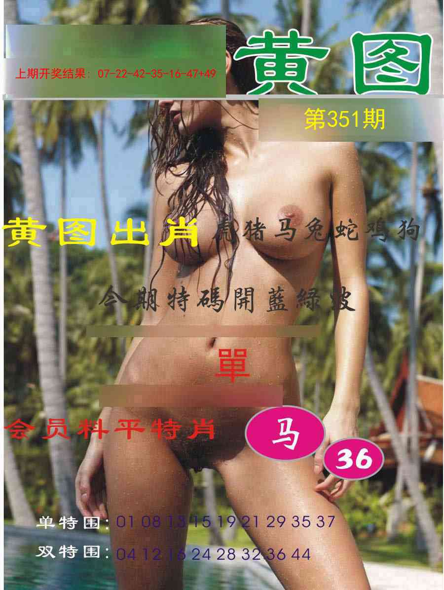 351期黄图[图]