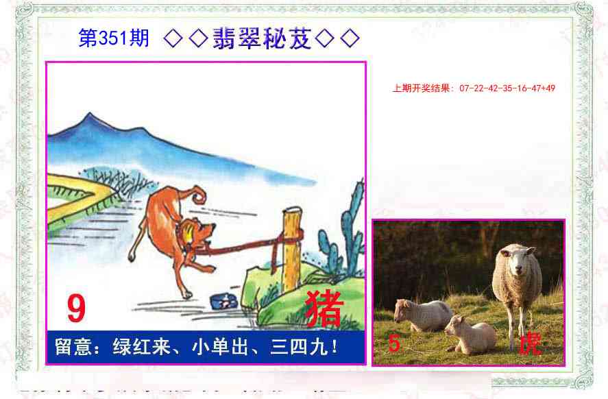 351期翡翠报[图]