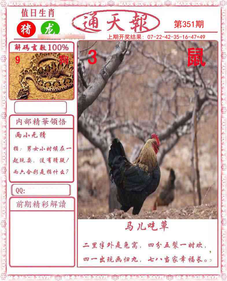 351期正版通天报[图]
