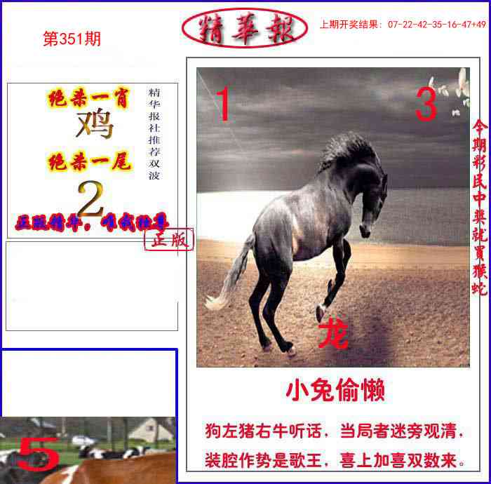 351期新精华报报[图]