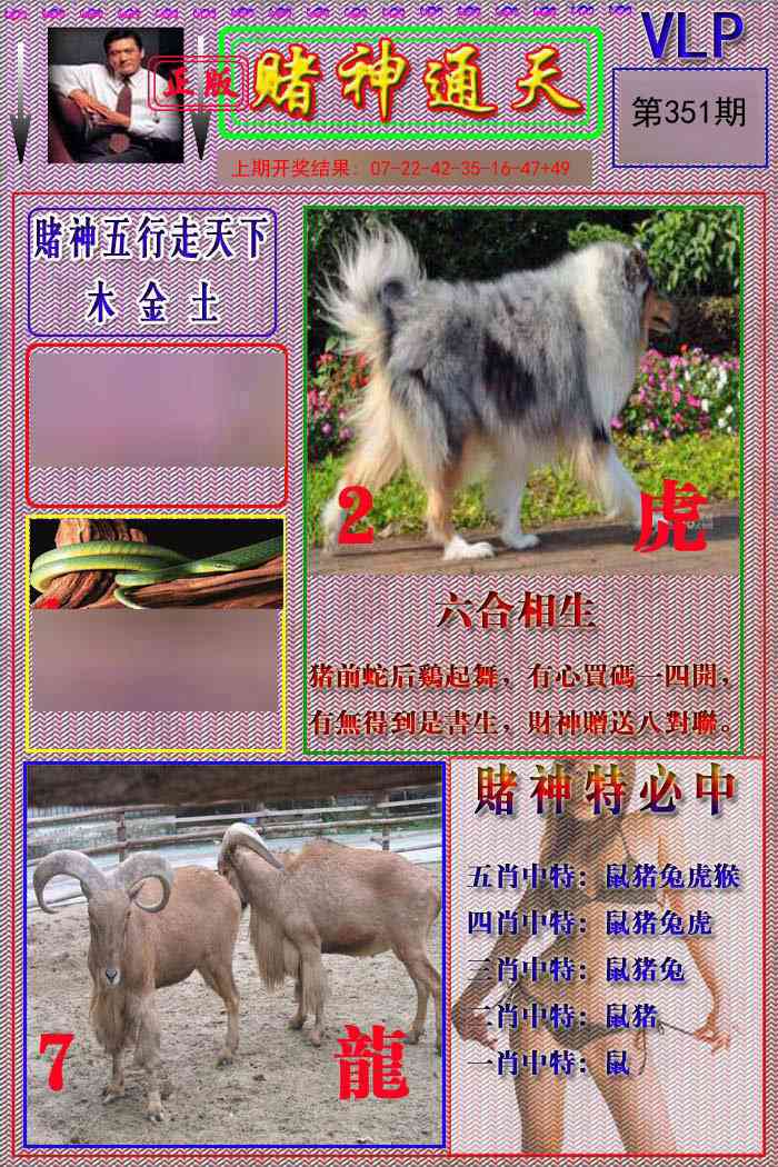 351期赌神通天报[图]
