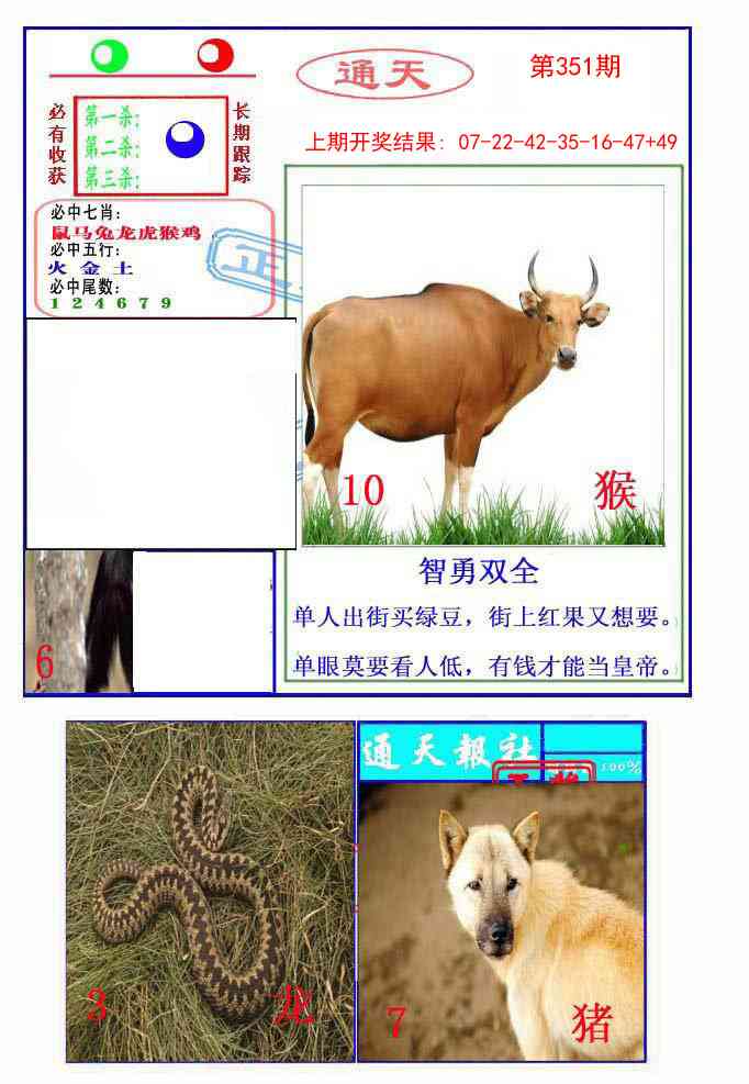 351期通天杀波图2[图]