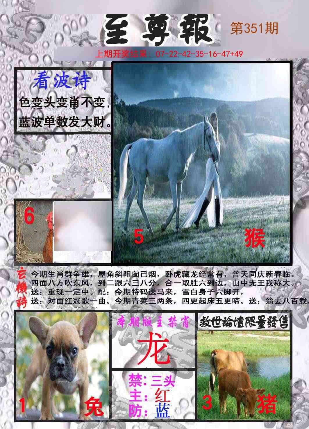 351期至尊报[图]