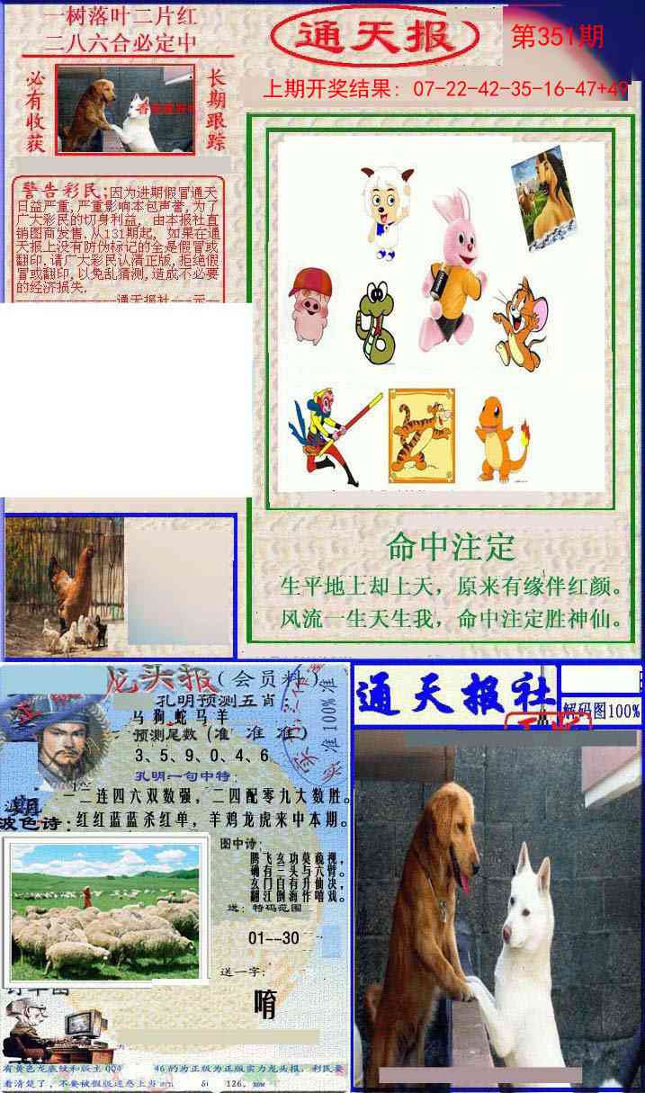 351期实力通天报[图]
