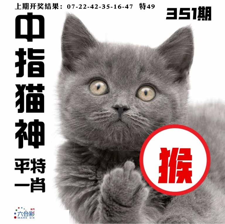 351期中指猫神[图]