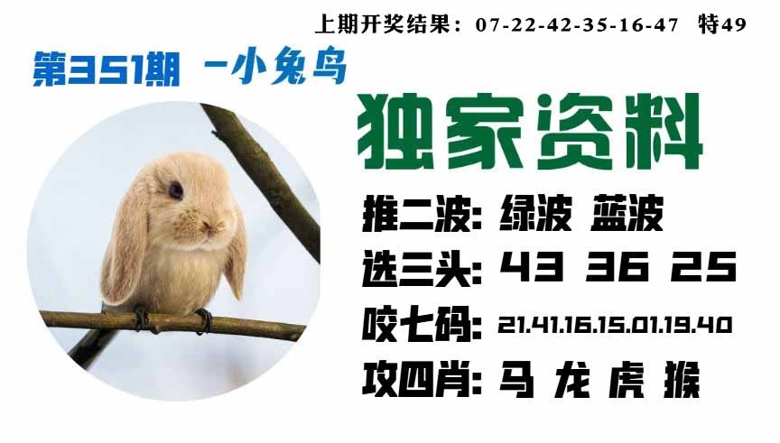 351期小兔鸟[图]